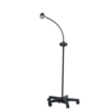 MTI Clarus 4 Exam Light - Image 2