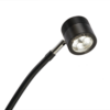 MTI Clarus 4 Exam Light
